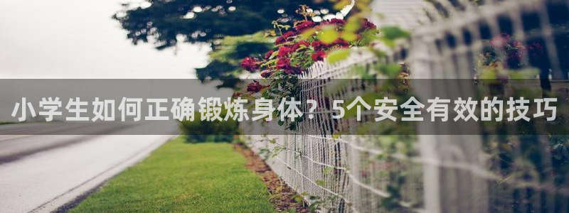 MK体育官方正版app娱乐40996：小学生如何正确