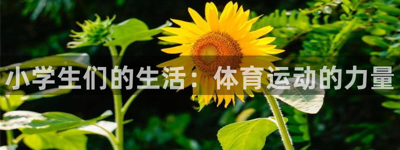 MK体育官网下载娱乐：小学生们的生活：体育运动的力量