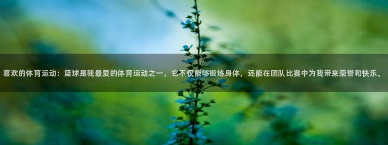 MK体育官方正版app集团官网首页：喜欢的体育运动：