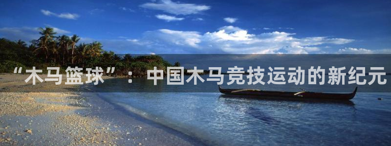 MK体育官方平台体育：“木马篮球”：中国木马竞技运动
