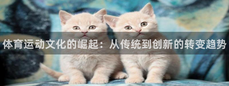 MK体育官方正版app娱乐首页网站大全：体育运动文化