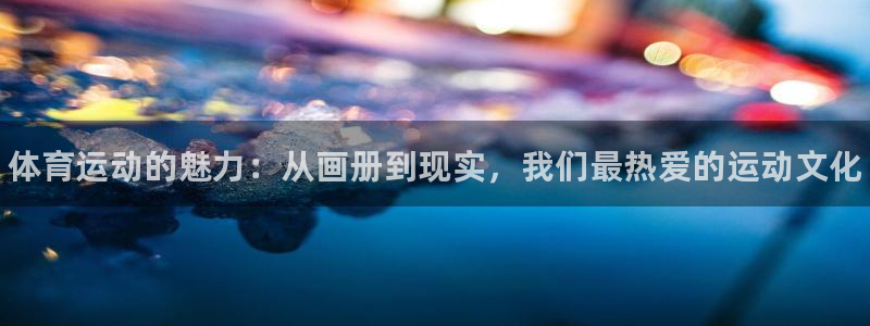 MK体育官方正版app开户：体育运动的魅力：从画册到
