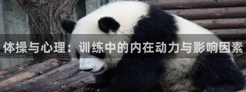 MK体育官方正版app开户：体操与心理：训练中的内在