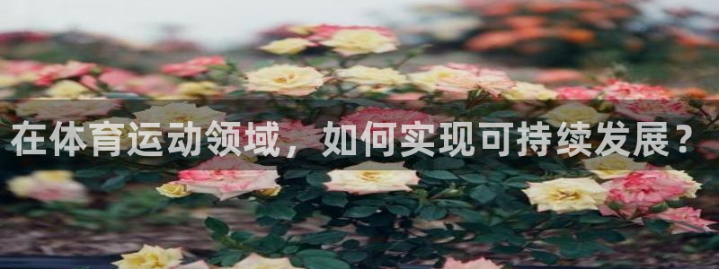 MK体育官网下载开户：在体育运动领域，如何实现可持续