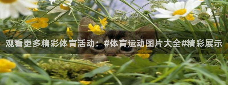 MK体育官网下载招商电话：观看更多精彩体育活动：#体