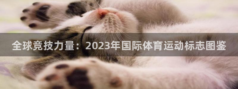 MK体育官网下载娱乐：全球竞技力量：2023年国际体