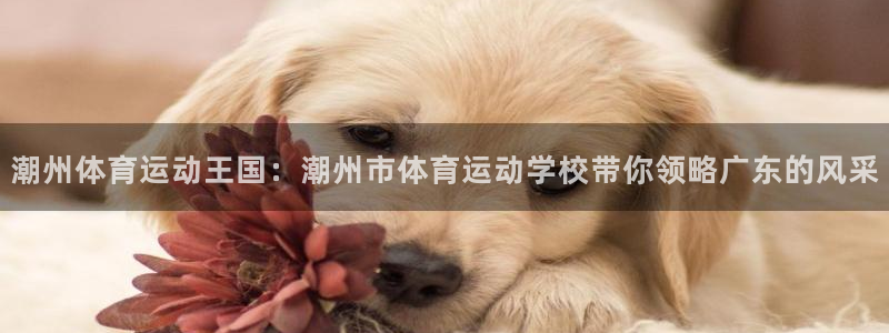MK体育官网下载招商电话地址查询：潮州体育运动王国：