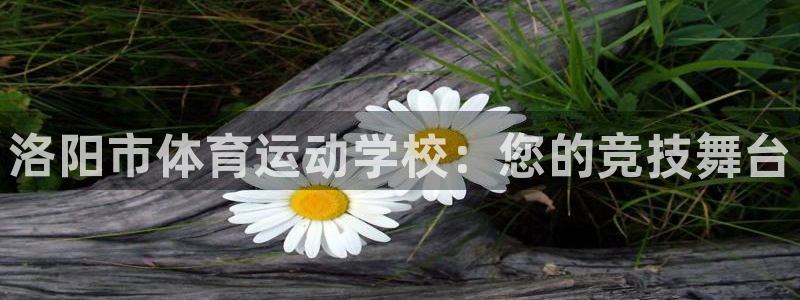MK体育官网下载开户：洛阳市体育运动学校：您的竞技舞