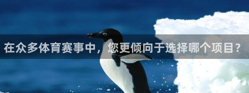 MK体育官方正版app娱乐：在众多体育赛事中，您更倾向于选择
