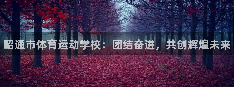 MK体育官网下载平台是正规平台吗安全吗：昭通市体育运
