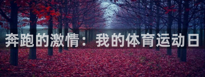 MK体育官网下载官方客服电话：奔跑的激情：我的体育运