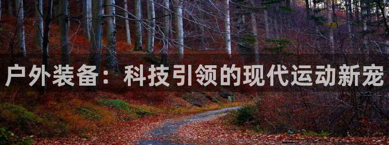 MK体育官方正版app集团简介：户外装备：科技引领的现代运动