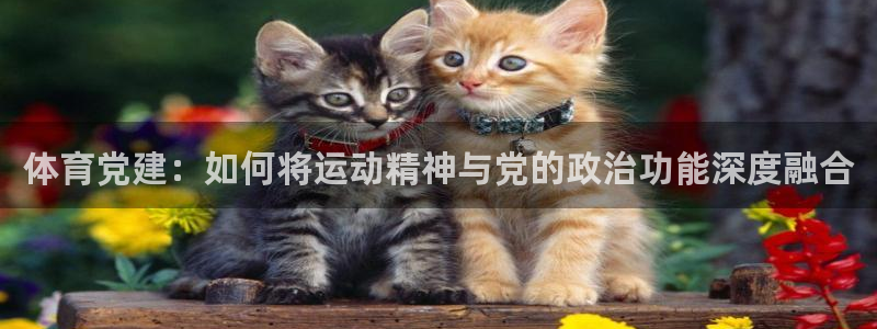 MK体育官网下载平台注册流程图：体育党建：如何将运动精神与党