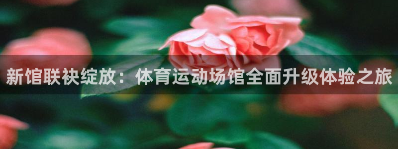 MK体育官网下载招商电话地址：新馆联袂绽放：体育运动场馆全面