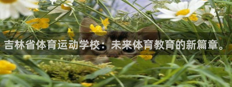 MK体育官方正版app娱乐首页网站大全：吉林省体育运