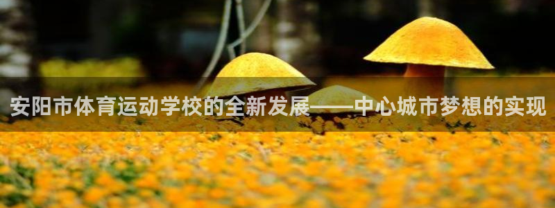 MK体育官网下载平台：安阳市体育运动学校的全新发展——中心城
