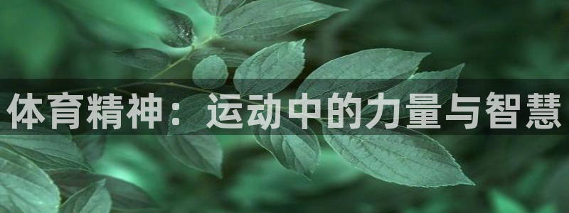 MK体育官方正版app神州