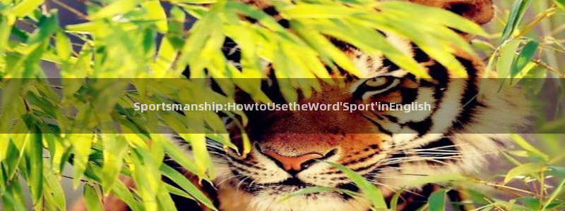 MK体育官网下载平台注册要钱吗安全吗：Sportsmansh