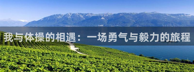 MK体育官网下载开户：我与体操的相遇：一场勇气与毅力的旅程