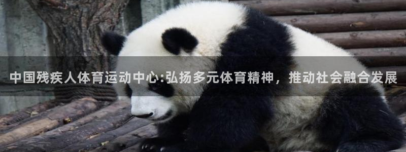 MK体育官网下载招商电话地址是多少：中国残疾人体育运动中心: