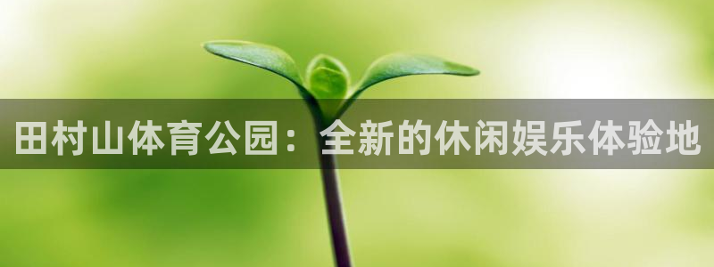 MK体育官网下载招商电话号码