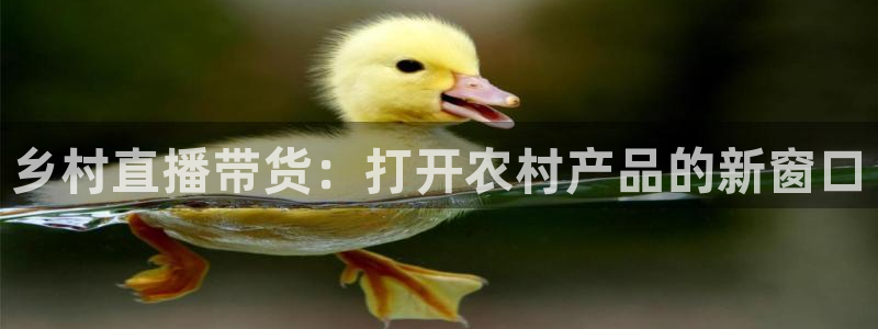 柠檬直播足球直播：乡村直播带货：打开农村产品的新窗口