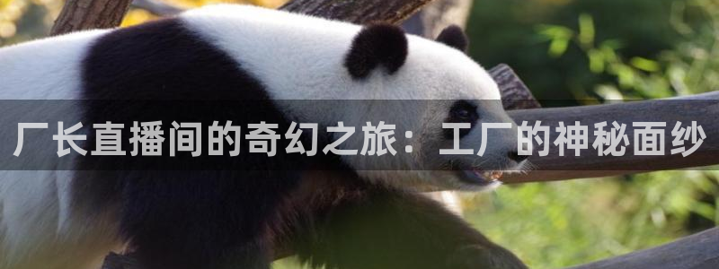 nba柠檬免费直播