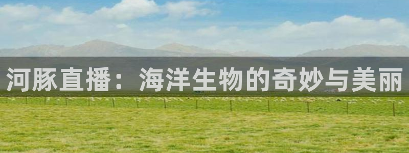 柠檬体育直播高清：河豚直播：海洋生物的奇妙与美丽
