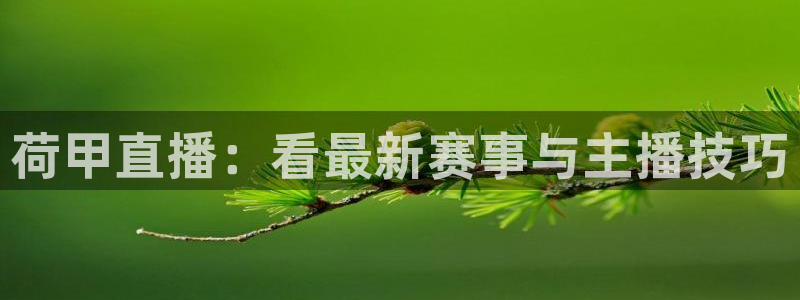 柠檬直播jrs：荷甲直播：看最新赛事与主播技巧