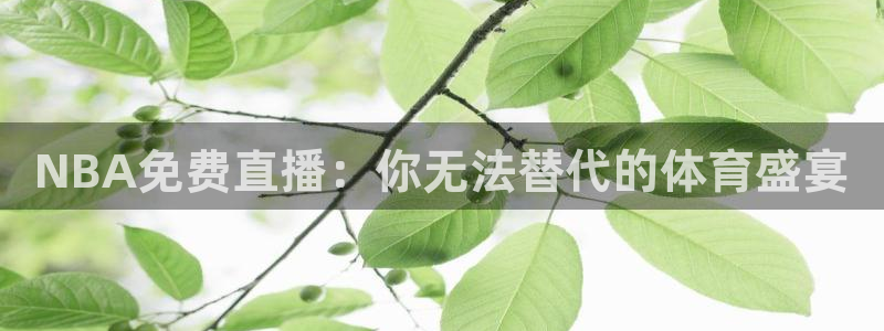 柠檬直播吧足球