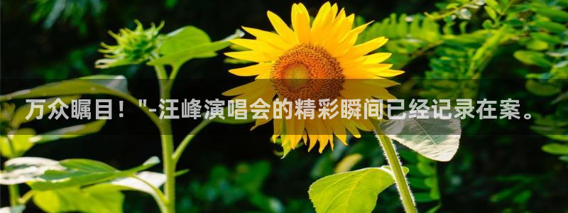 nba直播柠檬体育