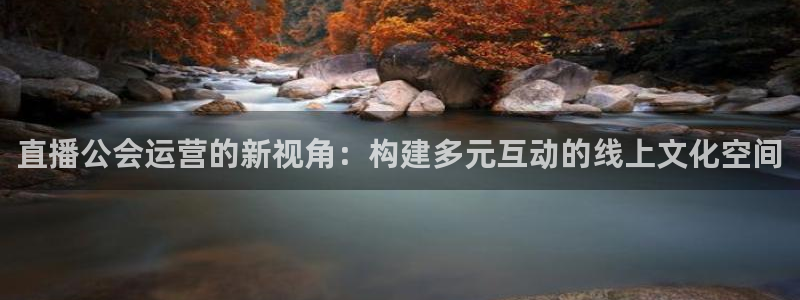 柠檬nba直播在线观看免费：直播公会运营的新视角：构建多元互动的线上文化空间