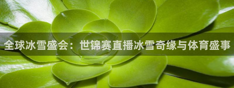 柠檬足球nba直播：全球冰雪盛会：世锦赛直播冰雪奇缘与体育盛事